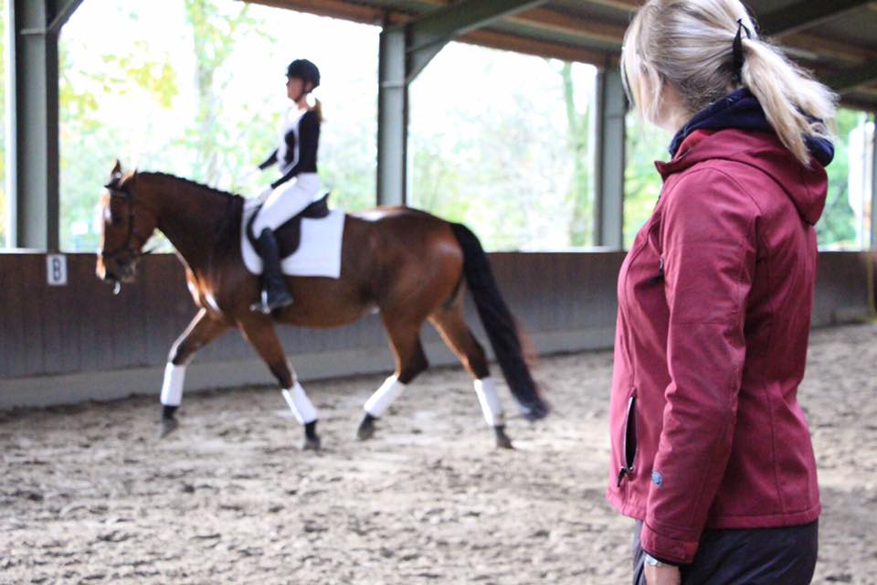 Manege schanswijk wedstrijd